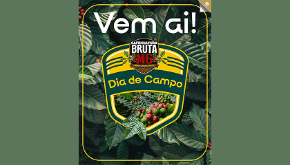 Dia de Campo Cafeicultura Bruta